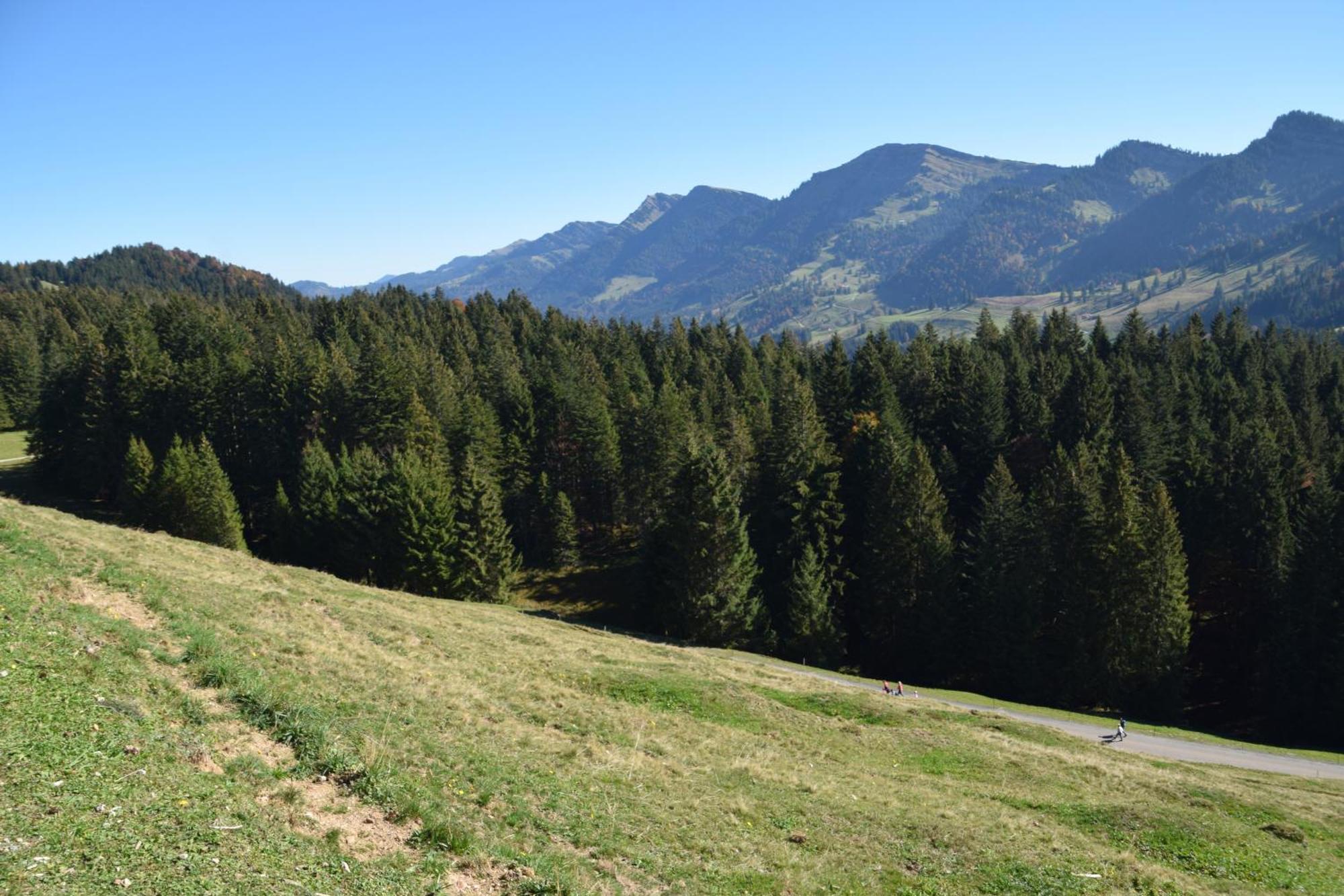 Appartement Bergfrieden Оберштауфен Экстерьер фото