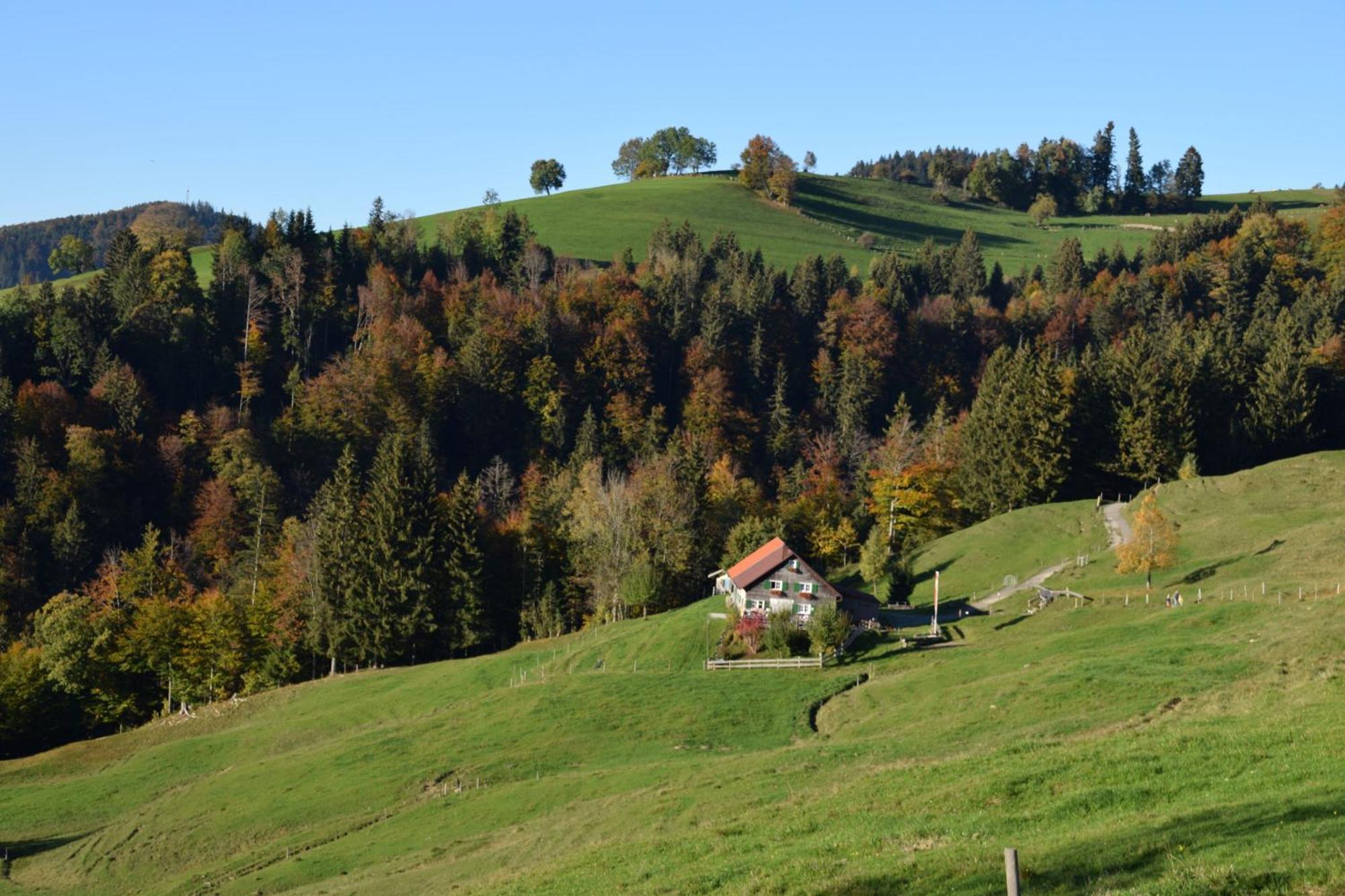 Appartement Bergfrieden Оберштауфен Экстерьер фото